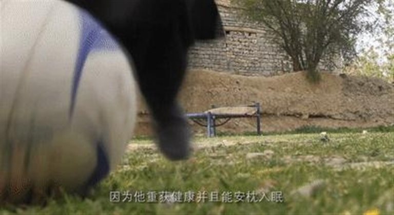 http://www.bjredcross.org.cn/HSZpublicImageStore/Rcscbb/rdbjwz/20190508/20190508120241065.jpg