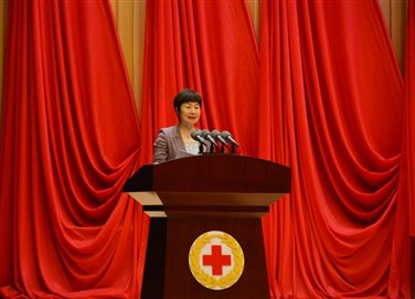 区红十字会党组书记、常务副会长游向荣作工作报告